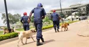 Nscdc required requirements 