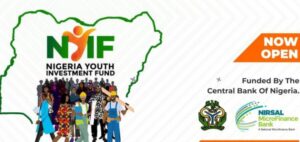Nigerian youth investment fund link to apply 