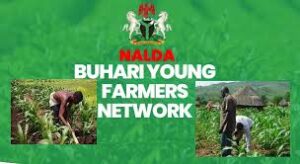 Buhari Young farmers network 