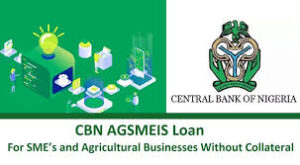 Agriculture loan with no collateral 